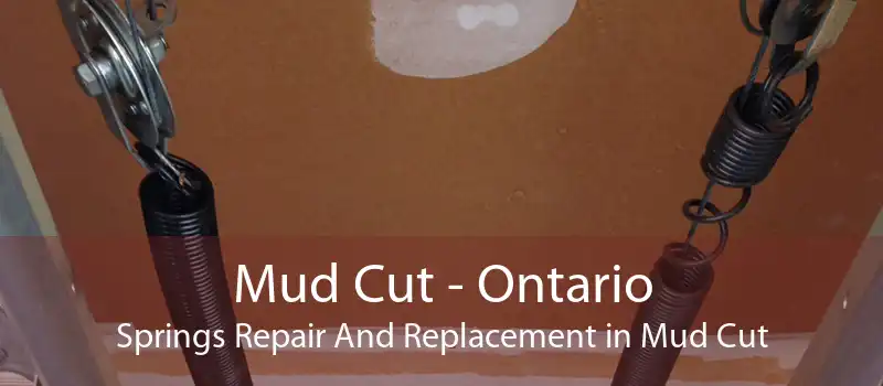 Mud Cut - Ontario Springs Repair And Replacement in Mud Cut