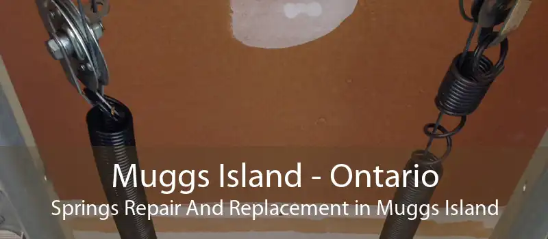 Muggs Island - Ontario Springs Repair And Replacement in Muggs Island