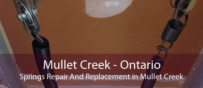 Mullet Creek - Ontario Springs Repair And Replacement in Mullet Creek