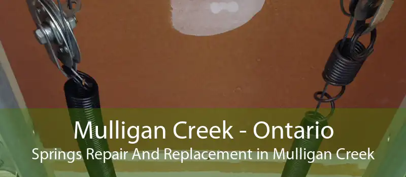 Mulligan Creek - Ontario Springs Repair And Replacement in Mulligan Creek