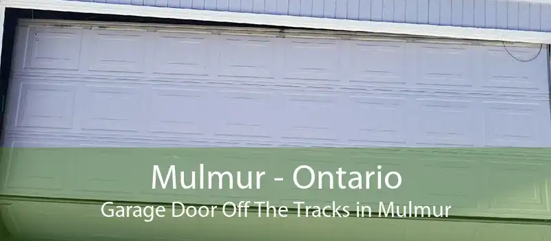 Mulmur - Ontario Garage Door Off The Tracks in Mulmur