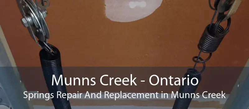 Munns Creek - Ontario Springs Repair And Replacement in Munns Creek