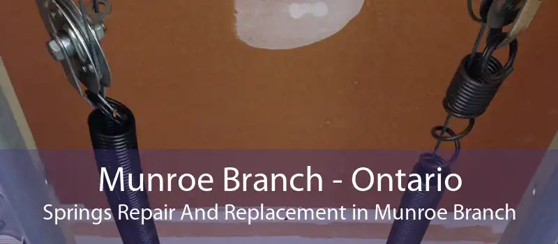 Munroe Branch - Ontario Springs Repair And Replacement in Munroe Branch