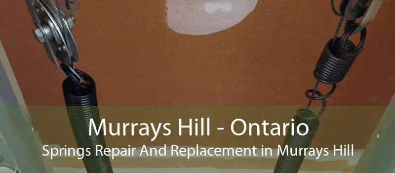 Murrays Hill - Ontario Springs Repair And Replacement in Murrays Hill