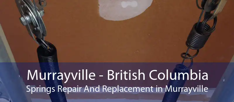 Murrayville - British Columbia Springs Repair And Replacement in Murrayville