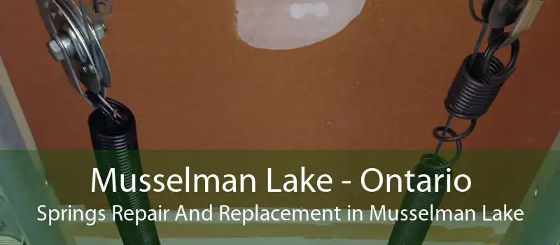 Musselman Lake - Ontario Springs Repair And Replacement in Musselman Lake