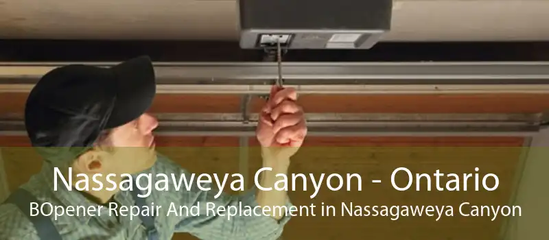 Nassagaweya Canyon - Ontario BOpener Repair And Replacement in Nassagaweya Canyon
