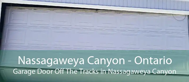 Nassagaweya Canyon - Ontario Garage Door Off The Tracks in Nassagaweya Canyon