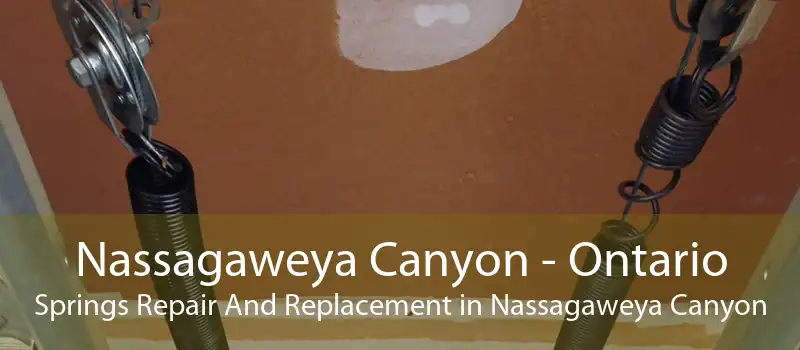 Nassagaweya Canyon - Ontario Springs Repair And Replacement in Nassagaweya Canyon