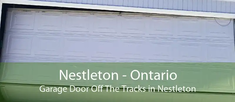 Nestleton - Ontario Garage Door Off The Tracks in Nestleton