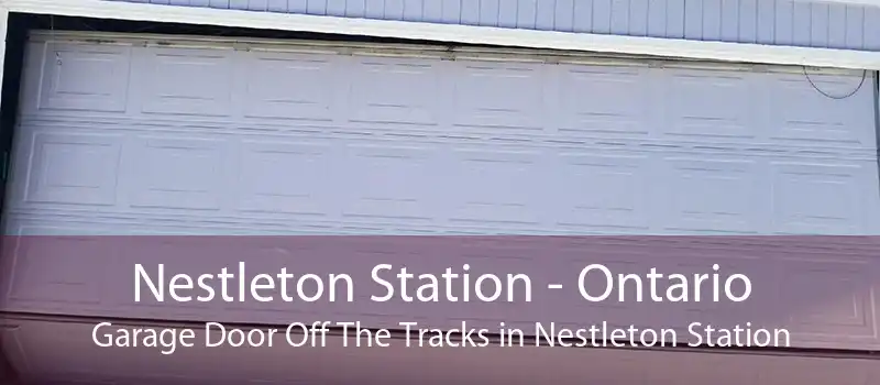 Nestleton Station - Ontario Garage Door Off The Tracks in Nestleton Station
