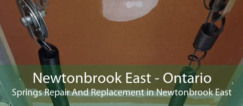 Newtonbrook East - Ontario Springs Repair And Replacement in Newtonbrook East