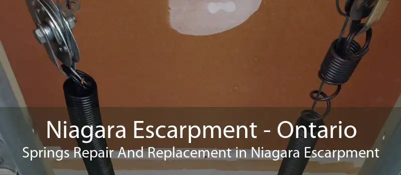 Niagara Escarpment - Ontario Springs Repair And Replacement in Niagara Escarpment