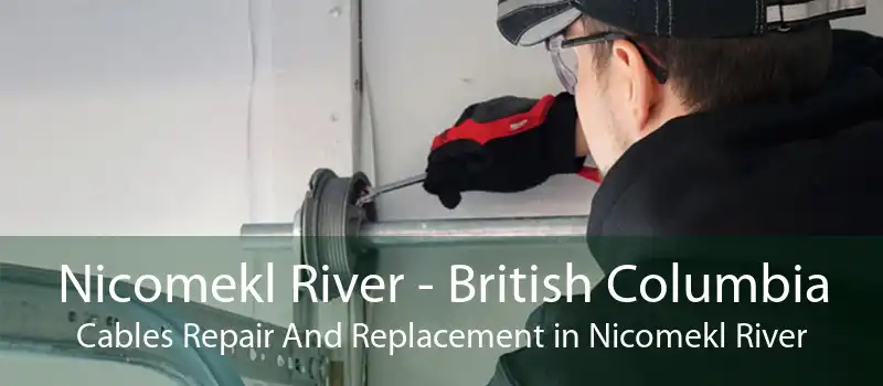 Nicomekl River - British Columbia Cables Repair And Replacement in Nicomekl River