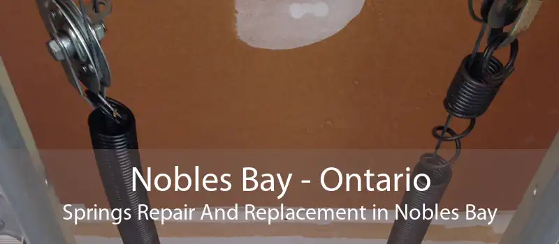 Nobles Bay - Ontario Springs Repair And Replacement in Nobles Bay