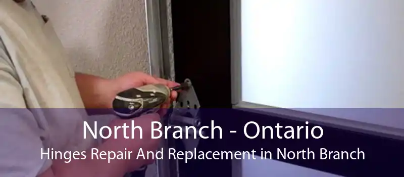 North Branch - Ontario Hinges Repair And Replacement in North Branch