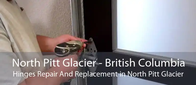North Pitt Glacier - British Columbia Hinges Repair And Replacement in North Pitt Glacier