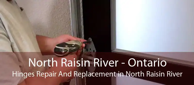 North Raisin River - Ontario Hinges Repair And Replacement in North Raisin River