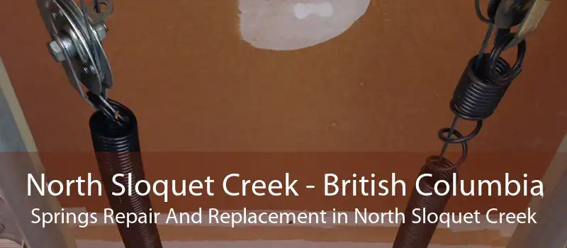 North Sloquet Creek - British Columbia Springs Repair And Replacement in North Sloquet Creek