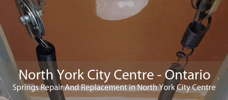 North York City Centre - Ontario Springs Repair And Replacement in North York City Centre