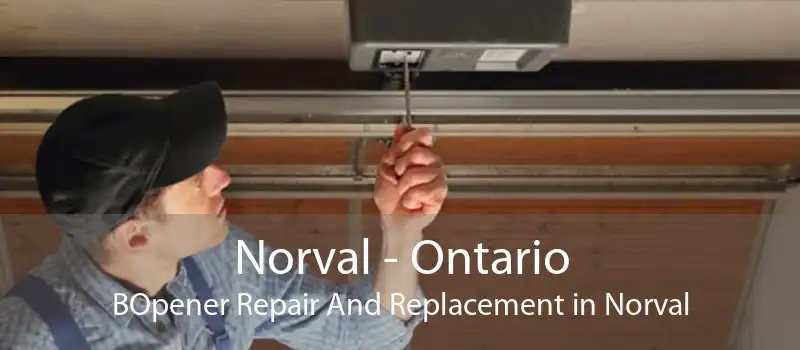 Norval - Ontario BOpener Repair And Replacement in Norval