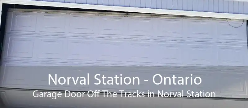 Norval Station - Ontario Garage Door Off The Tracks in Norval Station