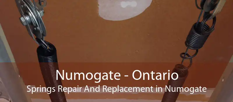 Numogate - Ontario Springs Repair And Replacement in Numogate