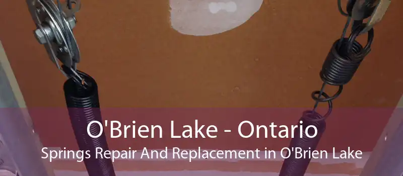O'Brien Lake - Ontario Springs Repair And Replacement in O'Brien Lake
