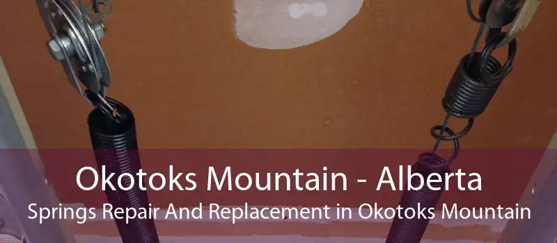 Okotoks Mountain - Alberta Springs Repair And Replacement in Okotoks Mountain