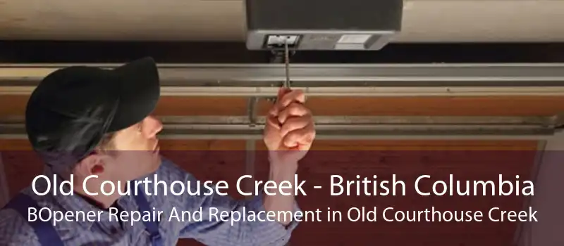 Old Courthouse Creek - British Columbia BOpener Repair And Replacement in Old Courthouse Creek