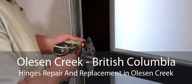 Olesen Creek - British Columbia Hinges Repair And Replacement in Olesen Creek