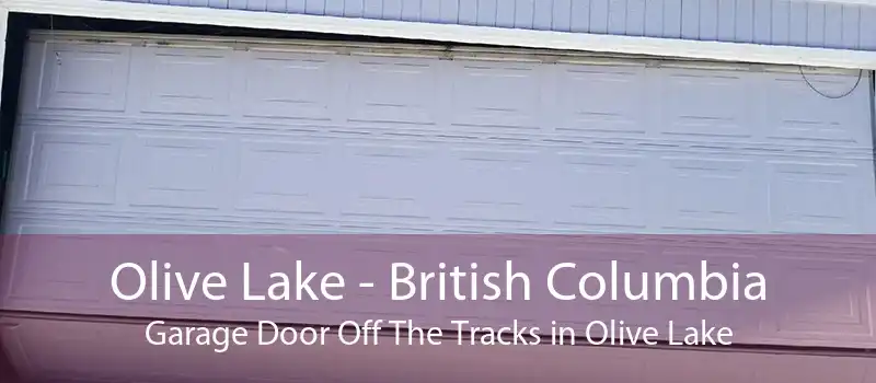 Olive Lake - British Columbia Garage Door Off The Tracks in Olive Lake
