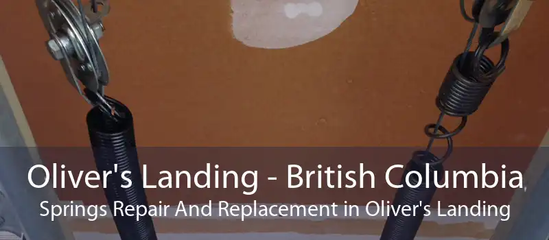 Oliver's Landing - British Columbia Springs Repair And Replacement in Oliver's Landing