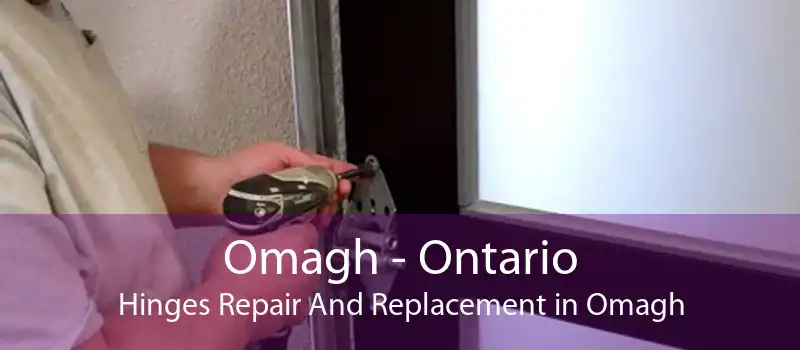Omagh - Ontario Hinges Repair And Replacement in Omagh