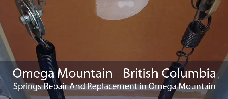 Omega Mountain - British Columbia Springs Repair And Replacement in Omega Mountain