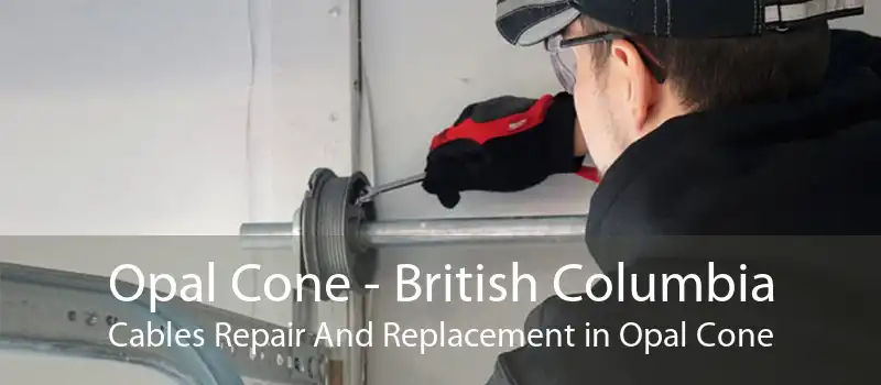 Opal Cone - British Columbia Cables Repair And Replacement in Opal Cone