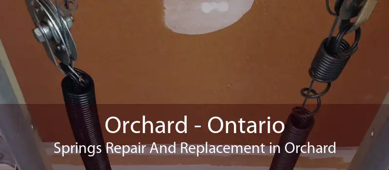 Orchard - Ontario Springs Repair And Replacement in Orchard