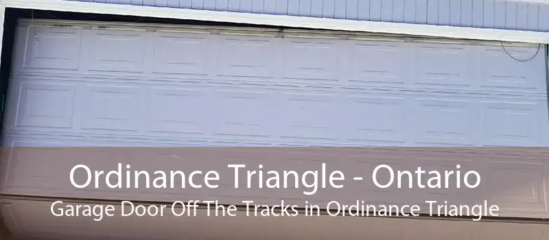 Ordinance Triangle - Ontario Garage Door Off The Tracks in Ordinance Triangle
