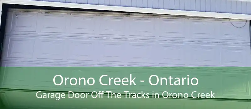 Orono Creek - Ontario Garage Door Off The Tracks in Orono Creek