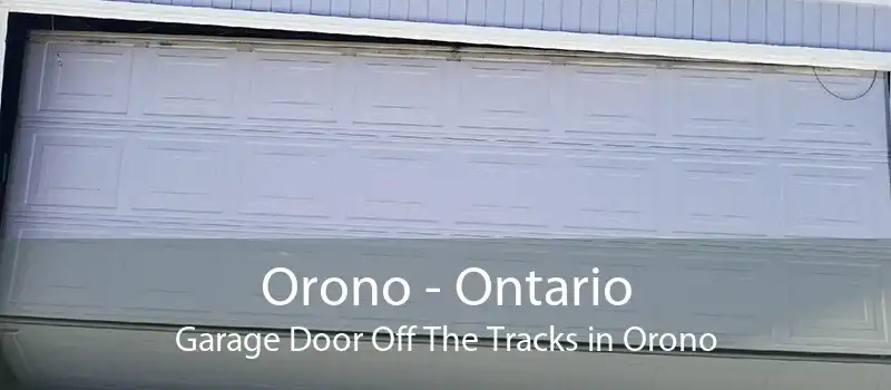 Orono - Ontario Garage Door Off The Tracks in Orono