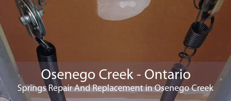 Osenego Creek - Ontario Springs Repair And Replacement in Osenego Creek