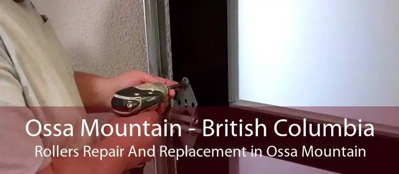Ossa Mountain - British Columbia Rollers Repair And Replacement in Ossa Mountain