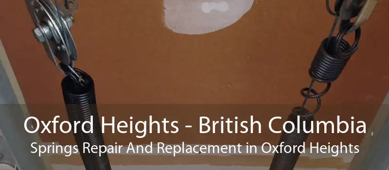 Oxford Heights - British Columbia Springs Repair And Replacement in Oxford Heights
