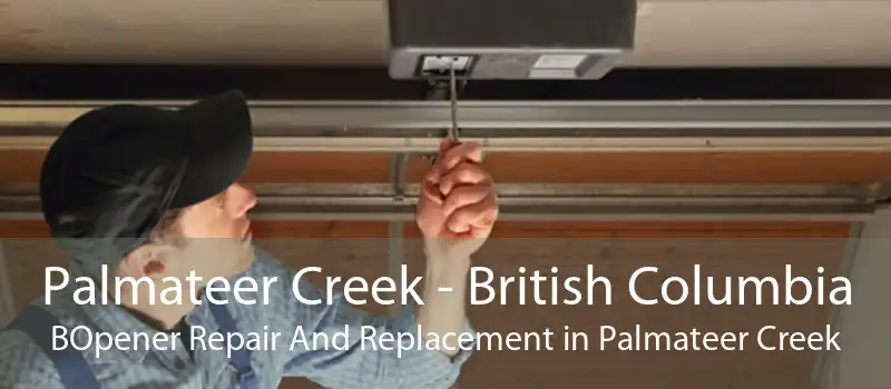 Palmateer Creek - British Columbia BOpener Repair And Replacement in Palmateer Creek
