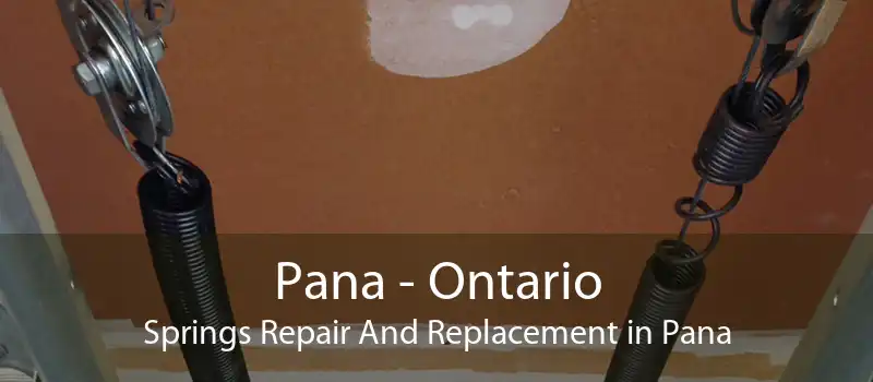 Pana - Ontario Springs Repair And Replacement in Pana