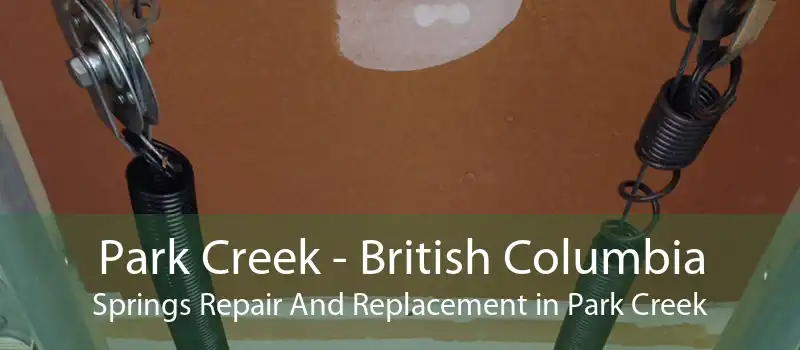Park Creek - British Columbia Springs Repair And Replacement in Park Creek