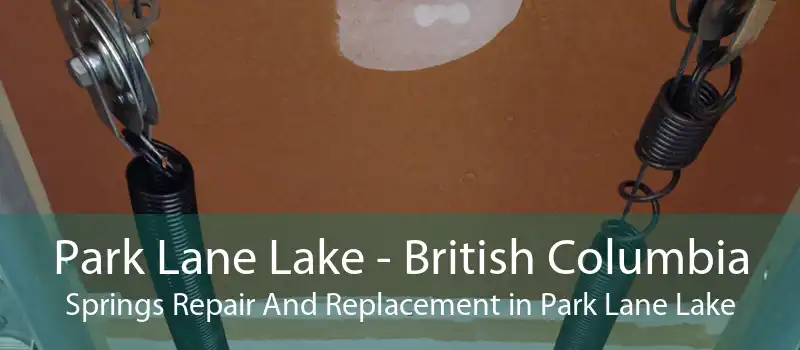 Park Lane Lake - British Columbia Springs Repair And Replacement in Park Lane Lake