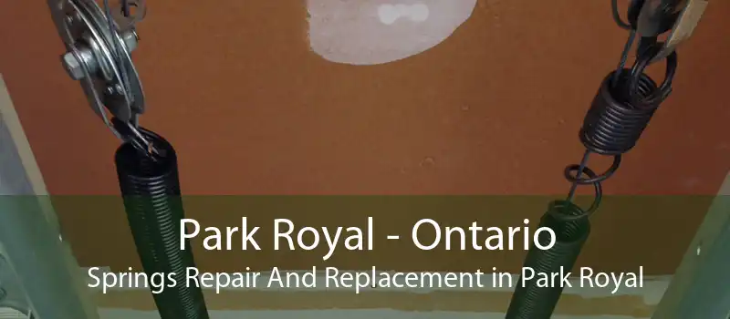 Park Royal - Ontario Springs Repair And Replacement in Park Royal