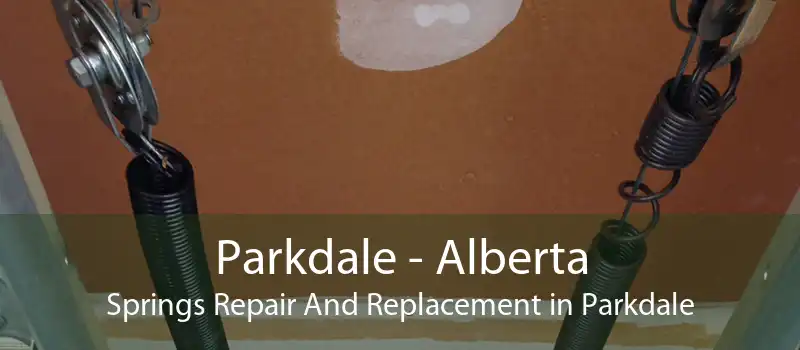 Parkdale - Alberta Springs Repair And Replacement in Parkdale