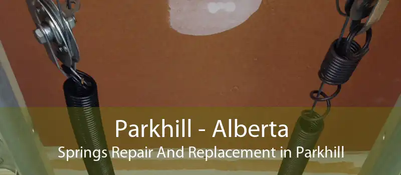 Parkhill - Alberta Springs Repair And Replacement in Parkhill